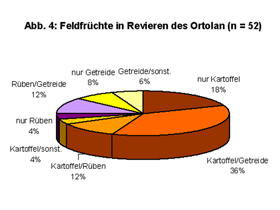 Bild 4 von 4